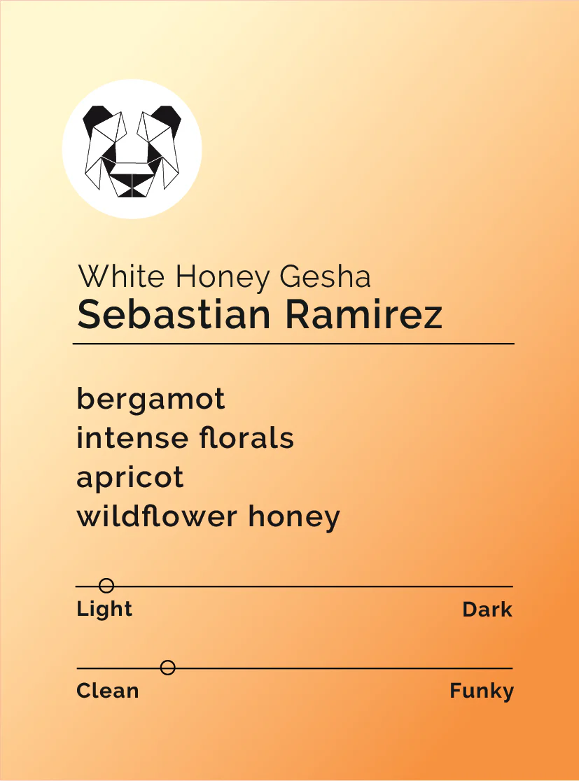 Black & White - Sebastian Ramirez - White Honey Gesha | Colombia