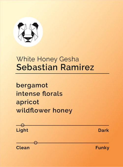 Black & White - Sebastian Ramirez - White Honey Gesha | Colombia