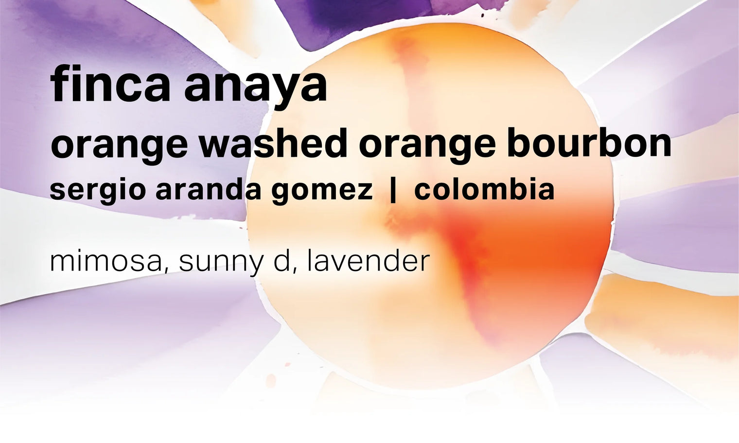 Moonwake - Sergio Aranda Gomez Finca Anaya - Orange Washed, Orange Bourbon | Colombia - Sigma Coffee UK