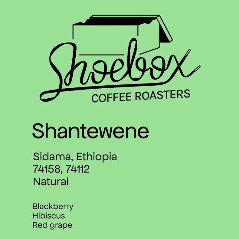 Shoebox Coffee Roasters - Shantewene Natural | Ethiopia