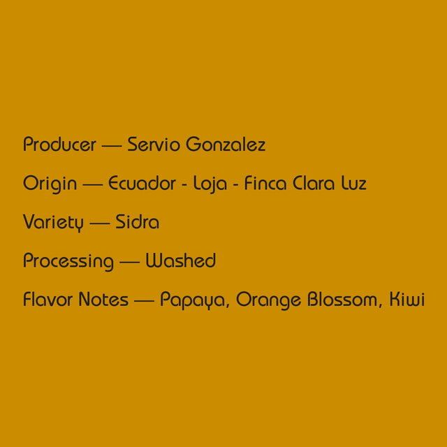 Mirra Coffee - Servio Gonzalez - Washed Sidra | Ecuador
