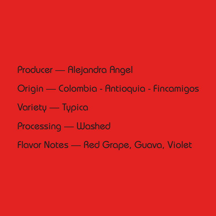 Mirra - Alejandra Angel, Washed Typica