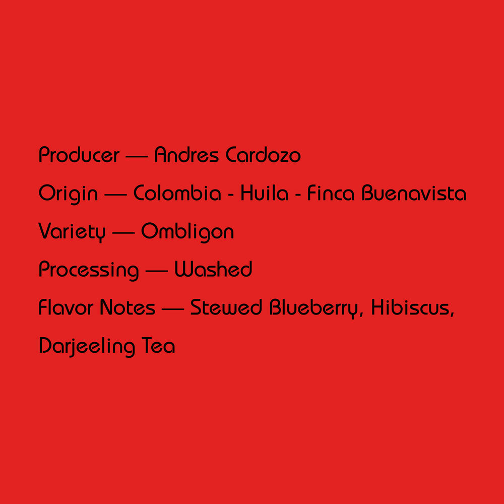 Mirra - Andres Cardozo, Washed Ombligon | Colombia