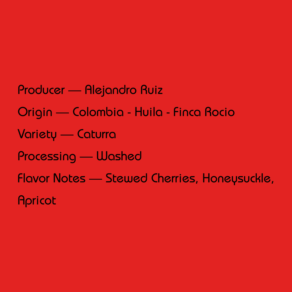 Mirra - Alejandro Ruiz, Washed Caturra | Colombia - Sigma Coffee UK