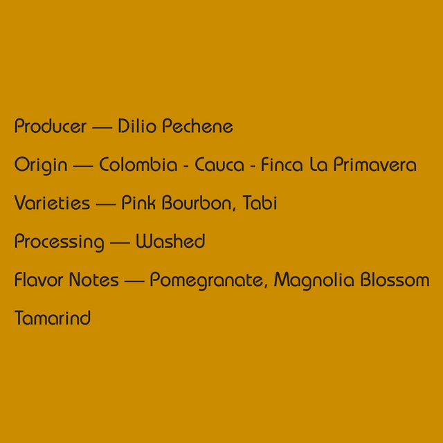 Mirra - Colombia Dilio Pechene — Best of Cauca No. 1 - Washed