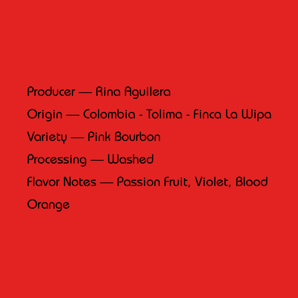 Mirra - Rina Aguilera, Washed Pink Bourbon | Colombia