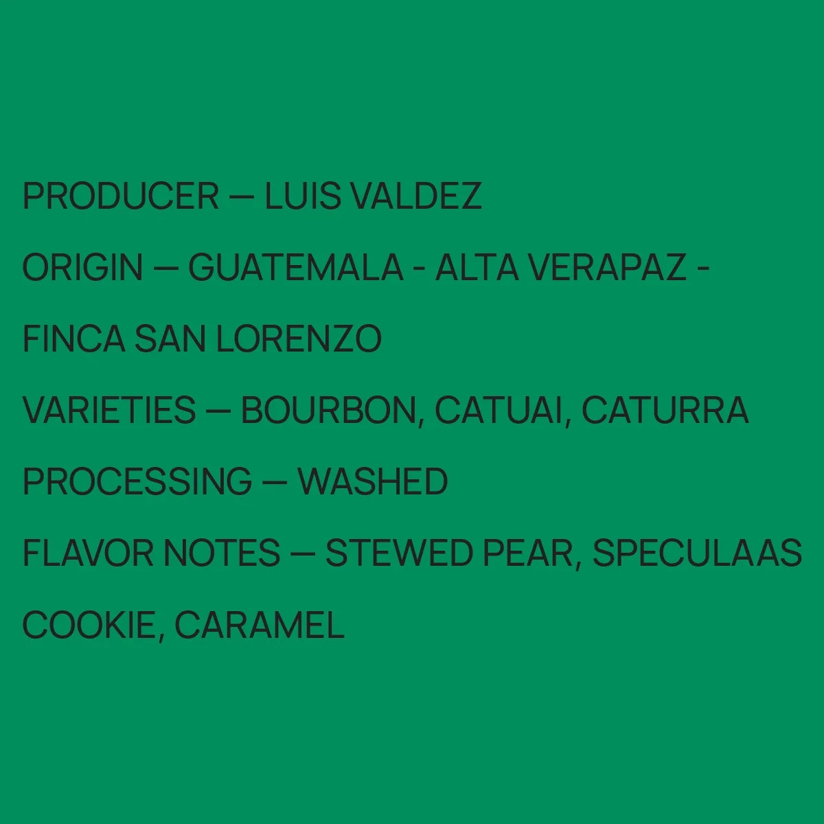 Mirra Coffee - Luis Valdez Washed Field Blend | Guatemala