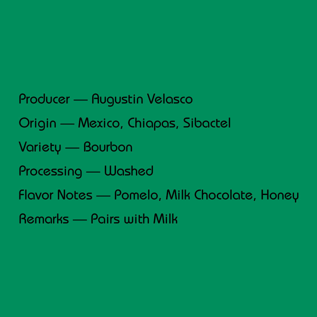 Mirra - Augustin Velasco, Washed Bourbon | Mexico - Sigma Coffee UK