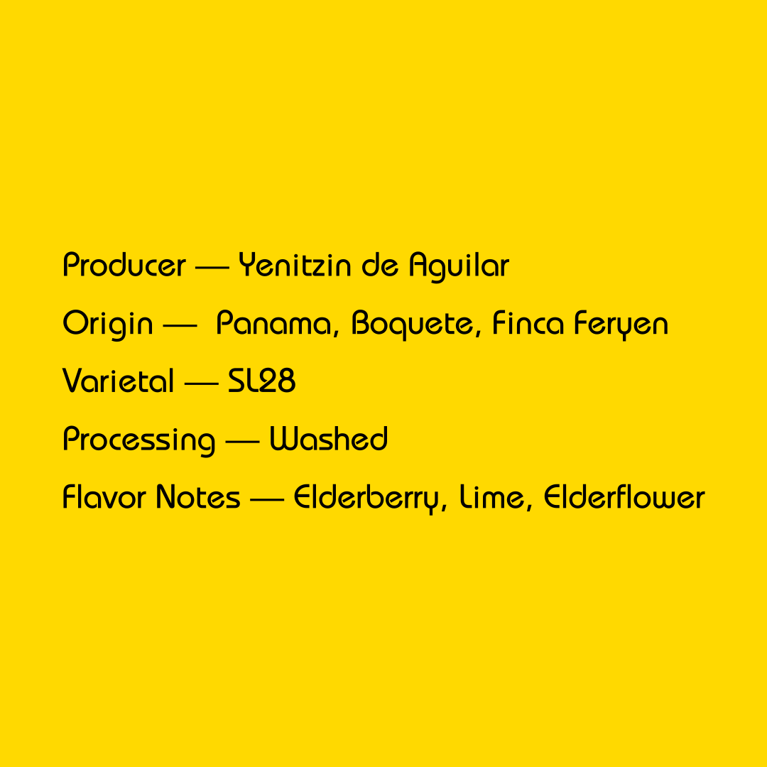 Mirra - Yenitzin de Aguilar, Washed | Panama - Sigma Coffee UK