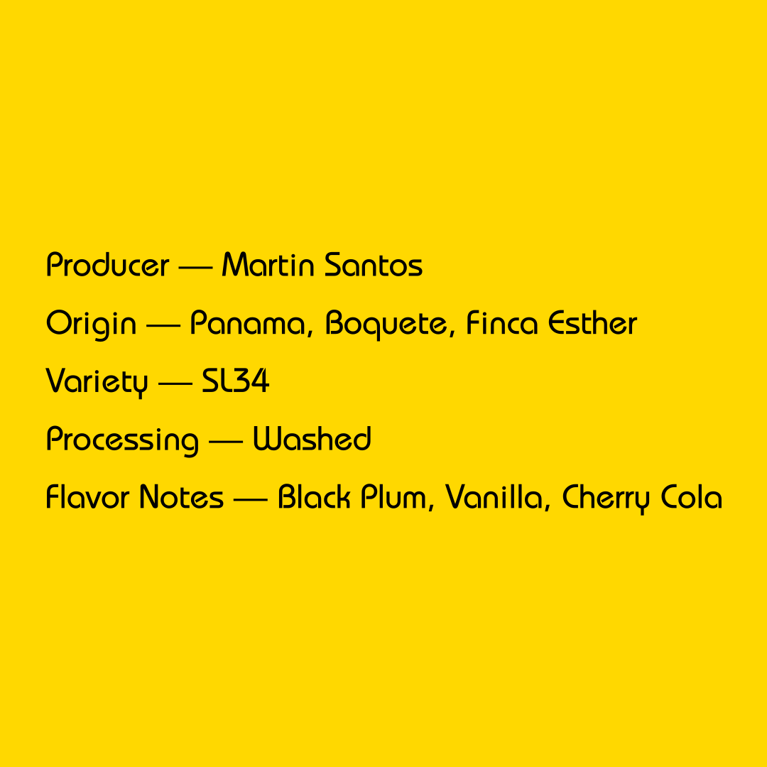 Mirra - Martin Santos, Washed | Panama - Sigma Coffee UK