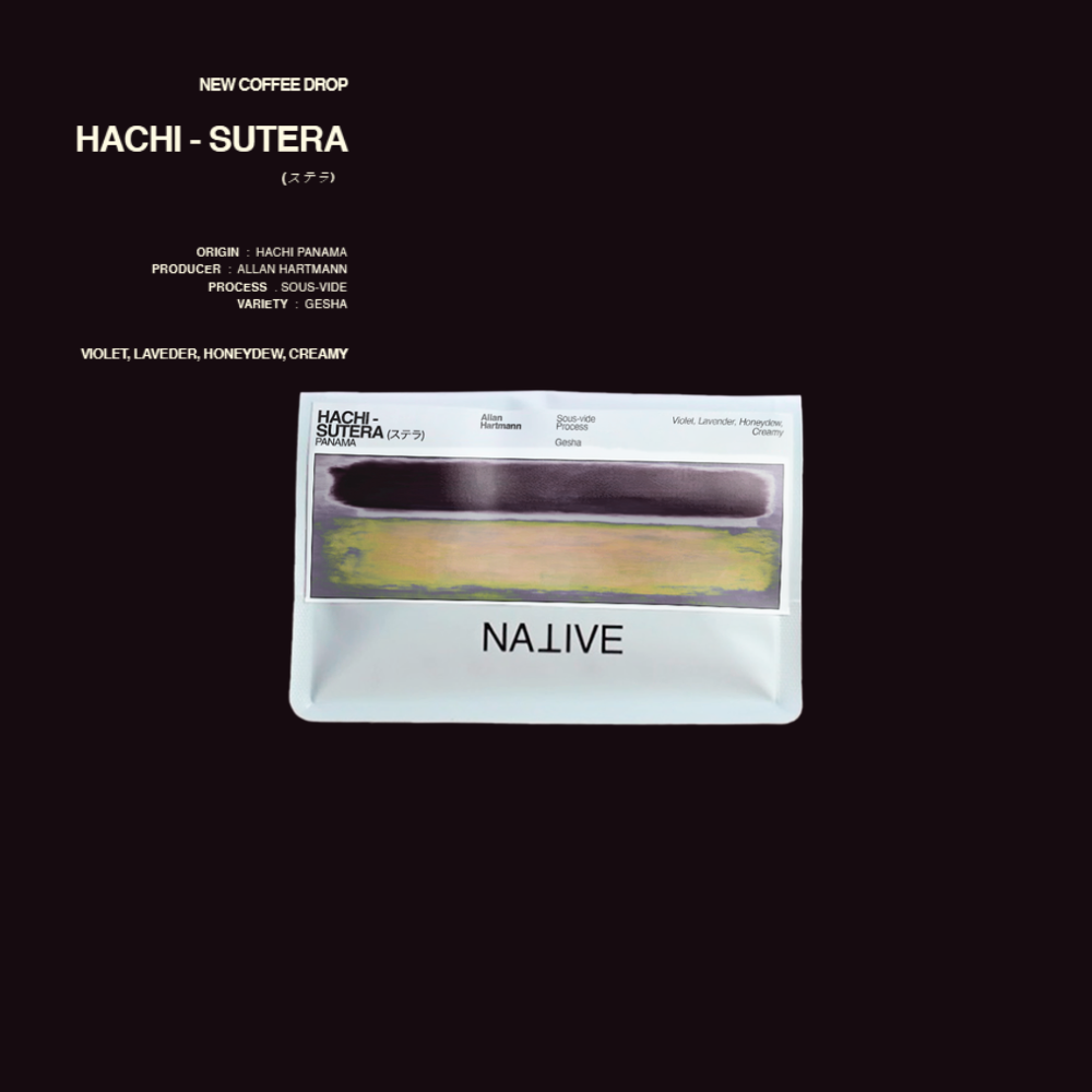 Native - Diego Bermudez | HACHI - SUTERA  (ステラ)