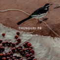 Mazelab - Thunguri PB - Washed SL28 Peaberry | Kenya - Sigma Coffee UK