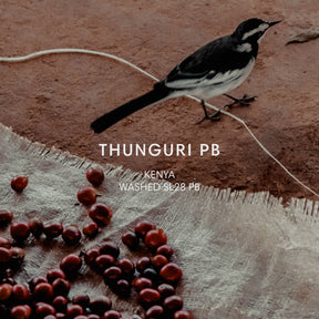 Mazelab - Thunguri PB - Washed SL28 Peaberry | Kenya - Sigma Coffee UK