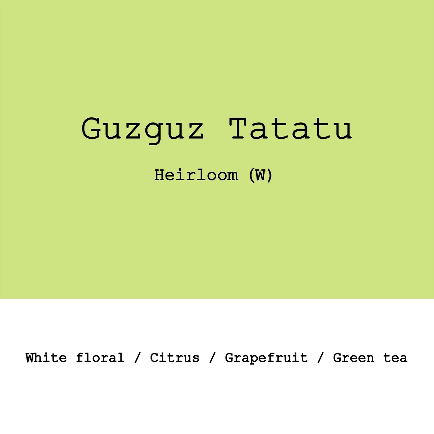 Goût & Co - Ethiopia Guzguz Tatatu, Heirloom G1 Washed