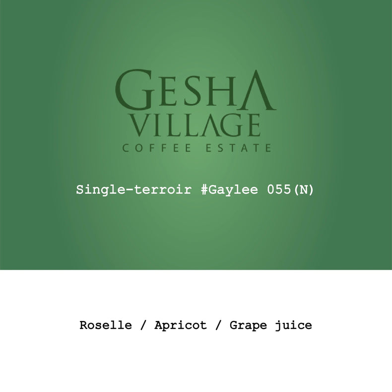 Goût & Co - Gesha Village - #Gaylee055,  Natural | Ethiopia