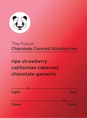 Black & White - The Future - Chocolate Covered Strawberries - Sigma Coffee UK