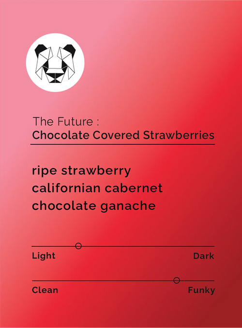 Black & White - The Future - Chocolate Covered Strawberries - Sigma Coffee UK