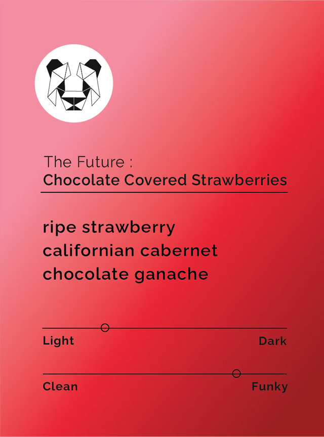 Black & White - The Future - Chocolate Covered Strawberries - Sigma Coffee UK