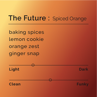 Black & White - The Future - Spiced Orange