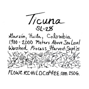 Flower Child - Cafe Ticuna SL28 - Sigma Coffee UK