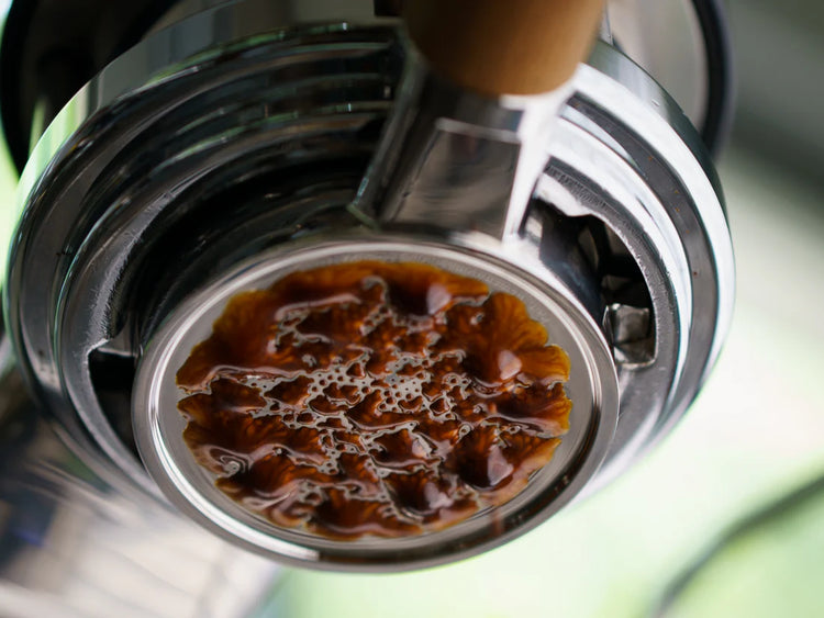 Weber Workshops BUCK Portafilter | Sigma Coffee UK