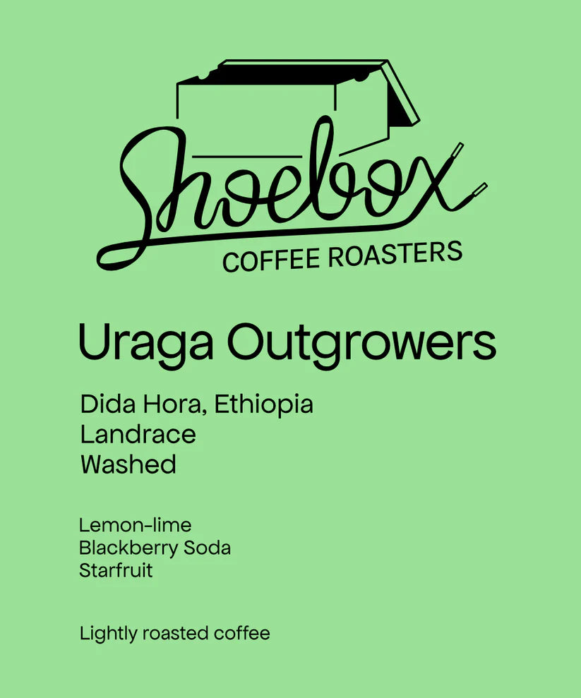 Shoebox - Uraga Outgrowers Washed | Ethiopia