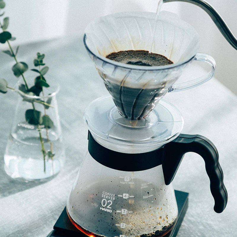 Hario V60 Dripper and Server Set 02