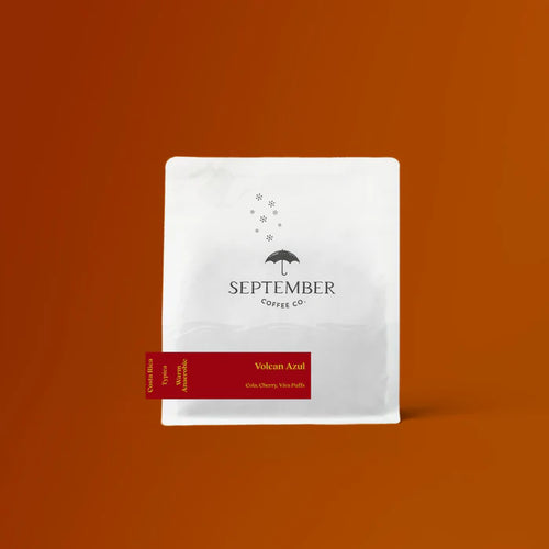 September - Volcan Azul - Typica, Warm Anaerobic