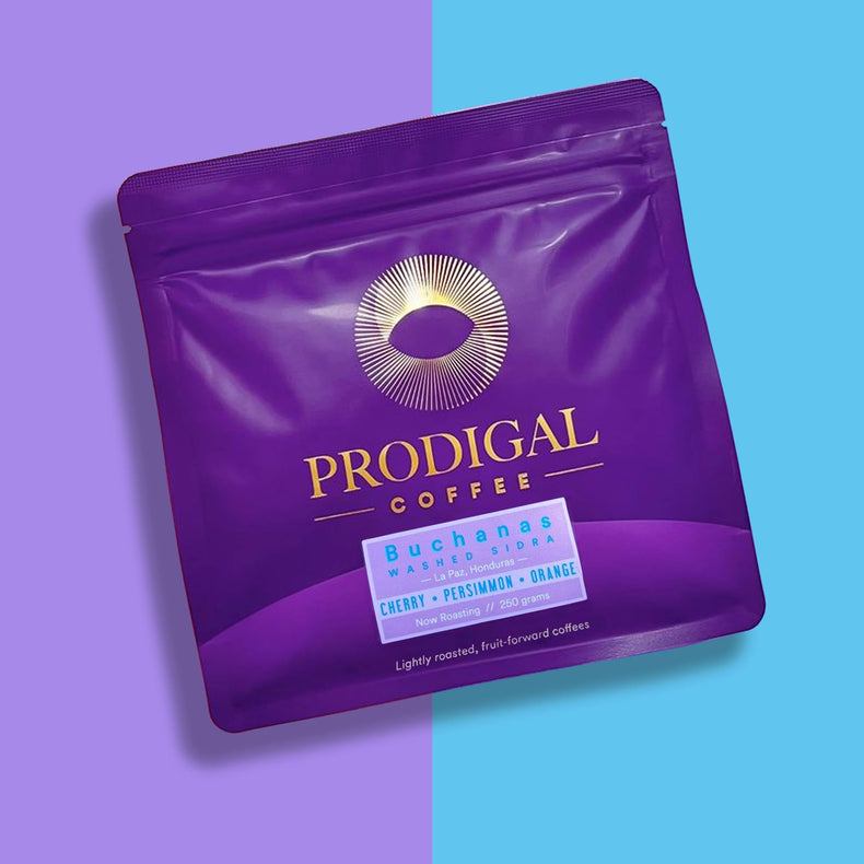 Prodigal Coffee - Buchanas Washed Sidra | Honduras