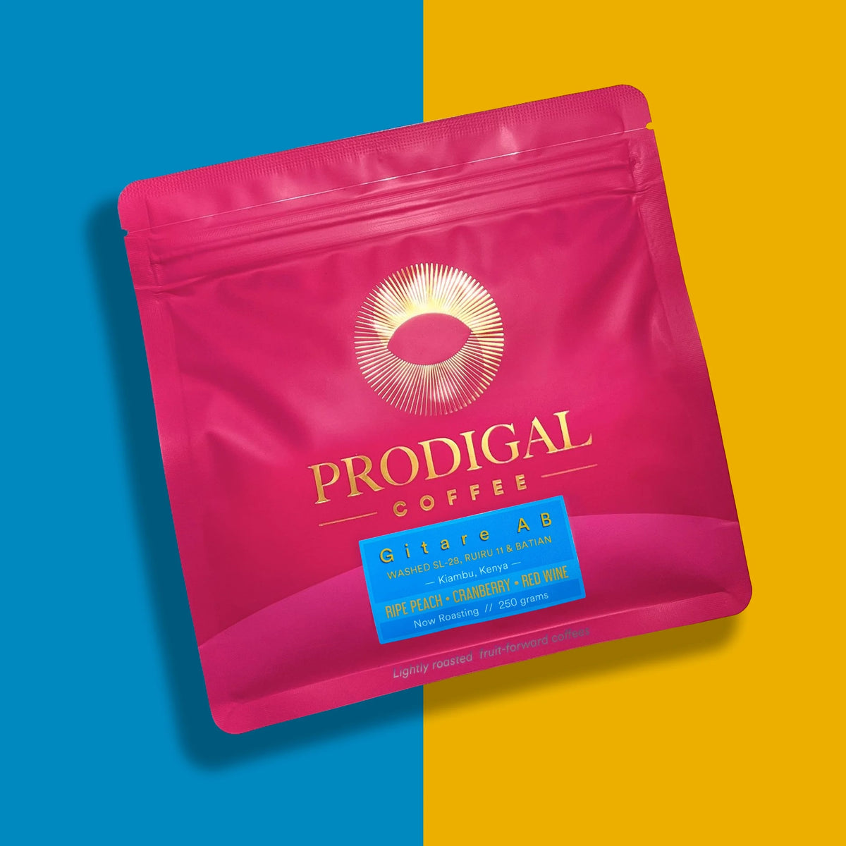 Prodigal Coffee - Gitare AB Washed AB Selection | Kenya