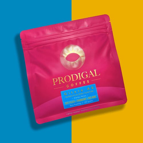 Prodigal Coffee - Gitare AB Washed AB Selection | Kenya