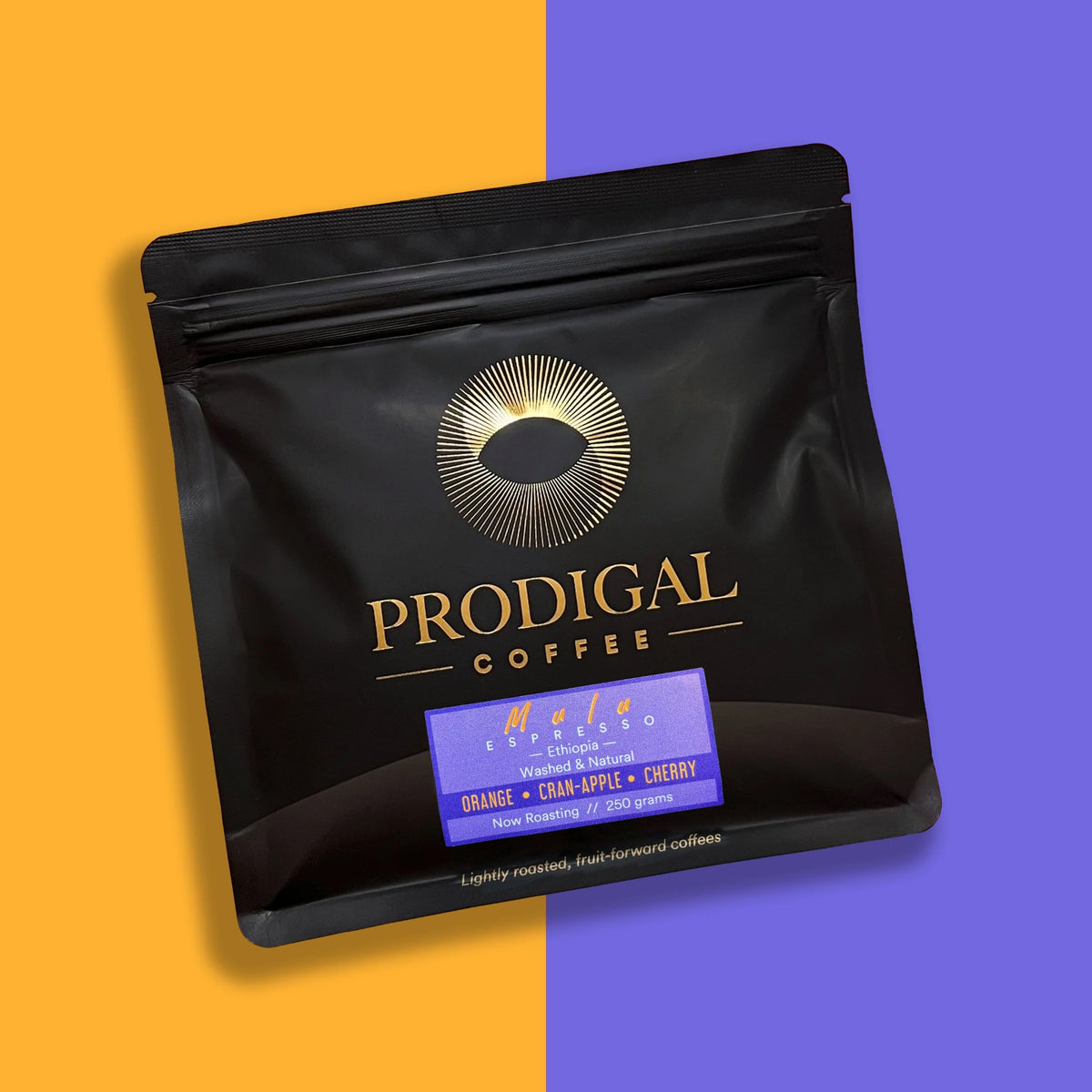 Prodigal Coffee - Mulu Espresso | Ethiopia