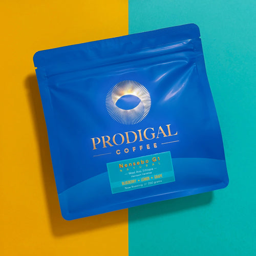 Prodigal Coffee - Nensebo G1, Natural -  Filter | Ethiopia