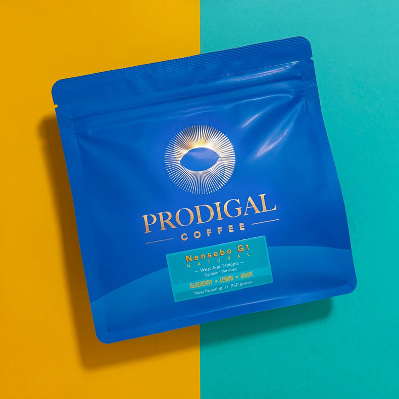 Prodigal Coffee - Nensebo G1, Natural -  Filter | Ethiopia