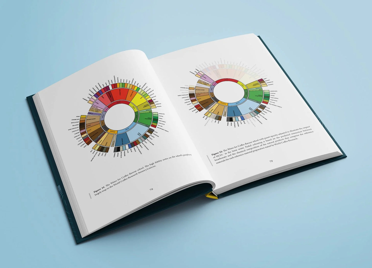 Water for Coffee (2nd Edition) | Max Dashwood & Chris H. Hendon