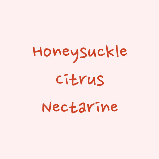 Hydrangea - Habtamu Fekadu Aga, Chelbesa - Washed Landrace | Ethiopia - Sigma Coffee UK