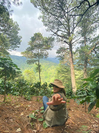 Moonwake - Alexia Mejia Finca Liquidambar - Anaerobic Washed Parainema