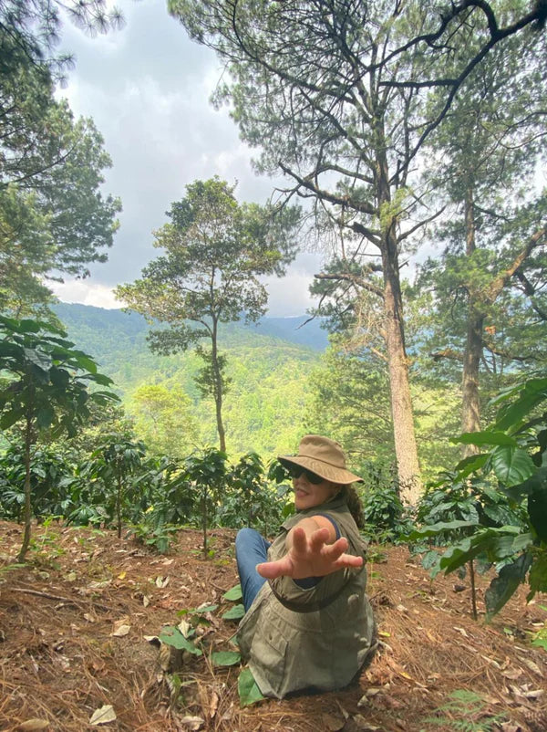 Moonwake - Alexia Mejia Finca Liquidambar - Anaerobic Washed Parainema