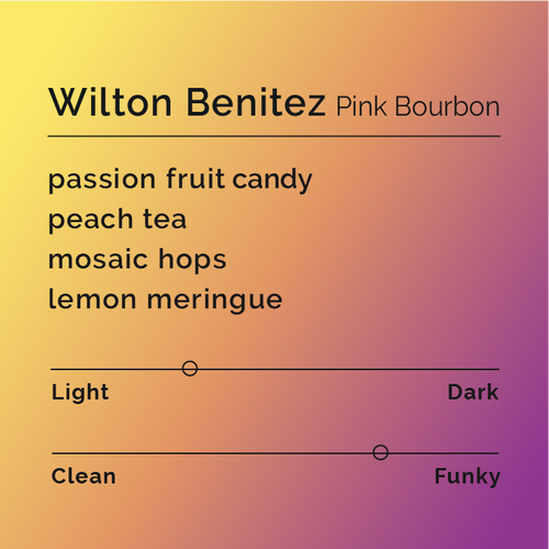 Black & White - Wilton Benitez - Pink Bourbon