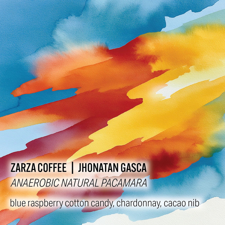 Moonwake Coffee Roasters - Zarza Coffee - Jhonatan Gasca - Anaerobic Natural Pacamara | Colombia