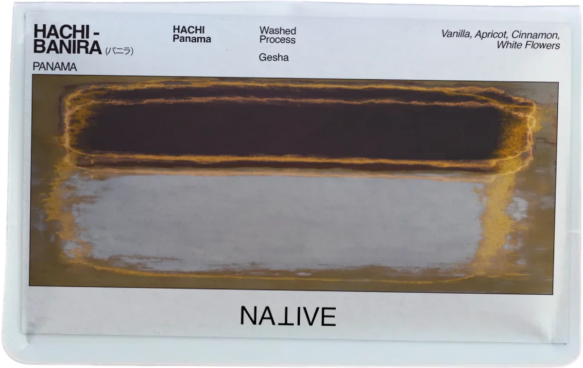Native - HACHI - Banira - (バニラ) | Panama
