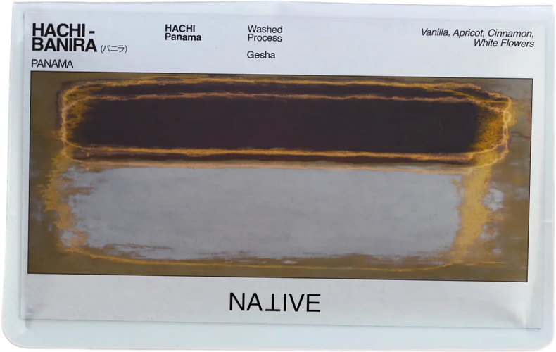 Native - HACHI - Banira - (バニラ) | Panama