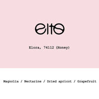 Goût & Co - Ethiopia Elto Elora 74112 Honey