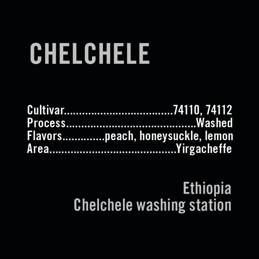 Apollon's Gold - Chelchele | Ethiopia