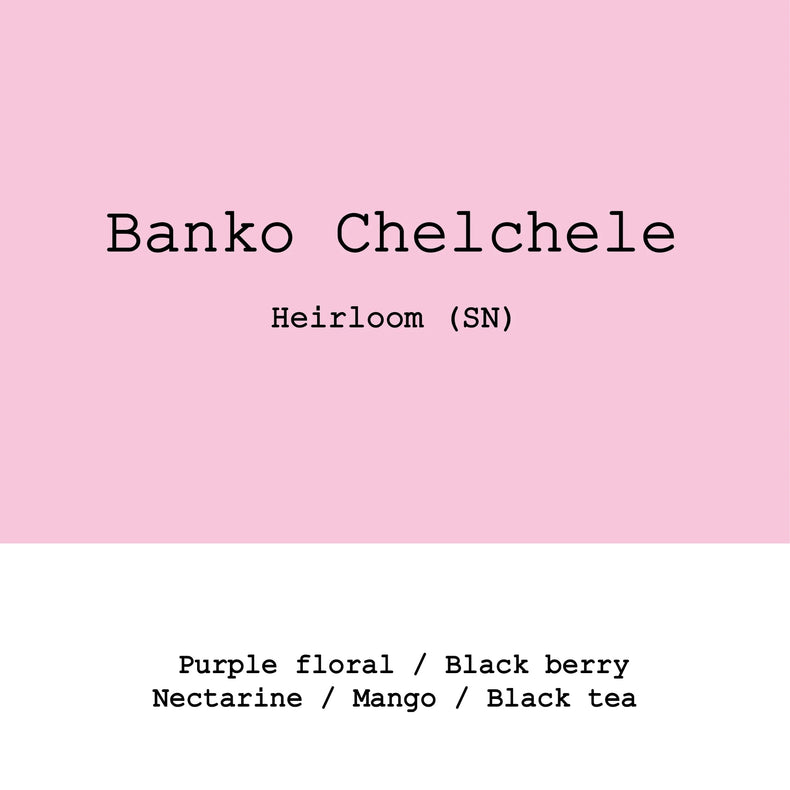 Goût & Co - Banko Chelchele Heirloom Super Natural | Ethiopia