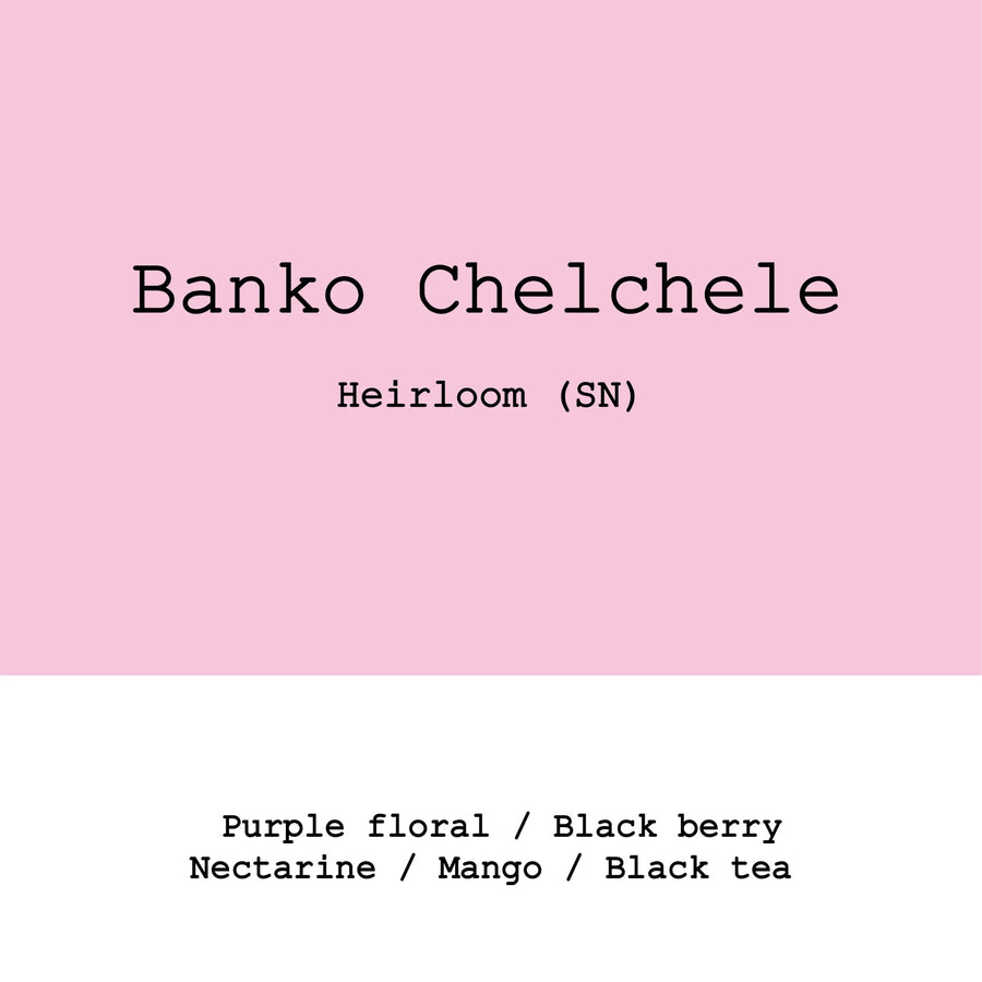 Goût & Co - Banko Chelchele Heirloom Super Natural | Ethiopia