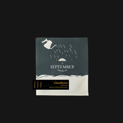 September - Cloudburst - Milk Espresso, Field Blend | Colombia