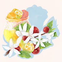 Hydrangea - Gesha, Washed - Finca Hartmann