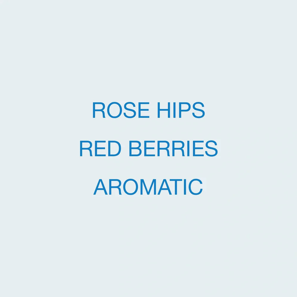 Koppi - Finca El Placer, Washed Pink Bourbon | Colombia
