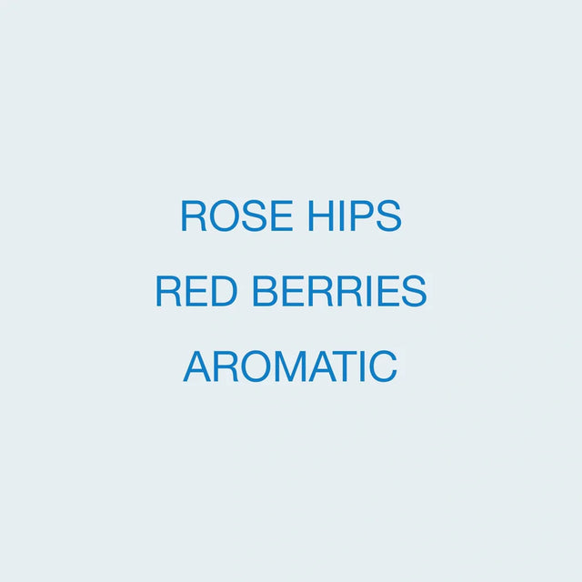 Koppi - Finca El Placer, Washed Pink Bourbon | Colombia